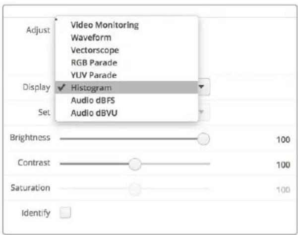 Adjust Video Monitoring Waveform Vectorscope RGB Parade YUV Parade Display ✓ Histogram Audio dBFS Audio dBVU Set Brightness 100 Contrast 100 Saturation 100 Identify □