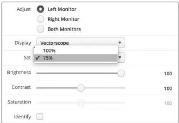 Blackmagic Design SmartView Duo - Вектороскоп - 2