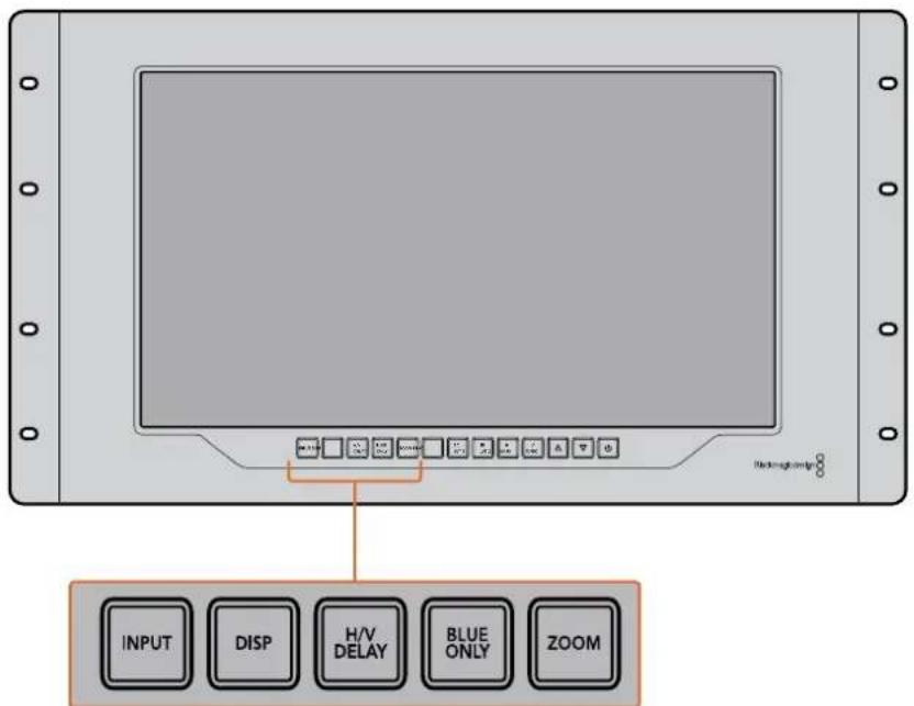INPUT DISP H/V DELAY BLUE ONLY ZOOM