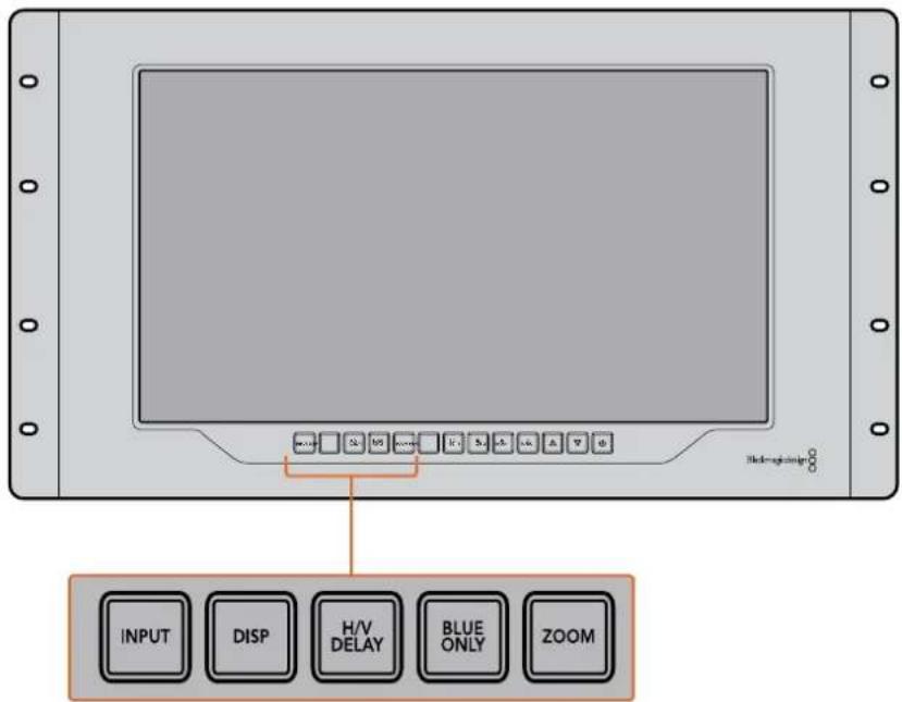 INPUT DISP H/V DELAY BLUE ONLY ZOOM