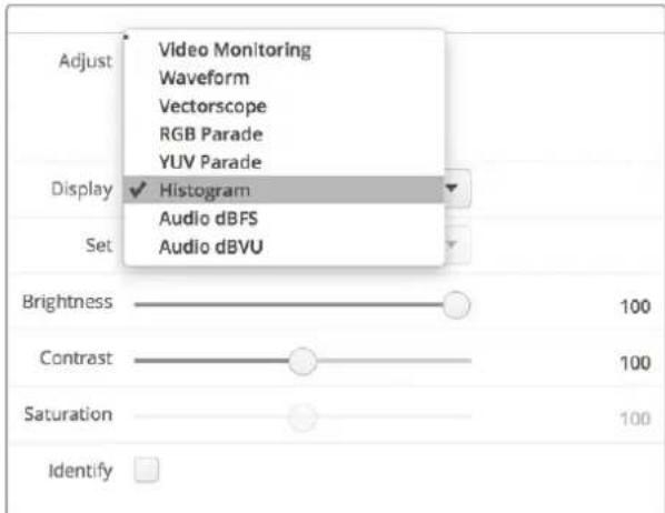 Adjust Video Monitoring Waveform Vectorscope RGB Parade YUV Parade Display ✓ Histogram Audio dBFS Audio dBVU Set Brightness 100 Contrast 100 Saturation 100 Identify □