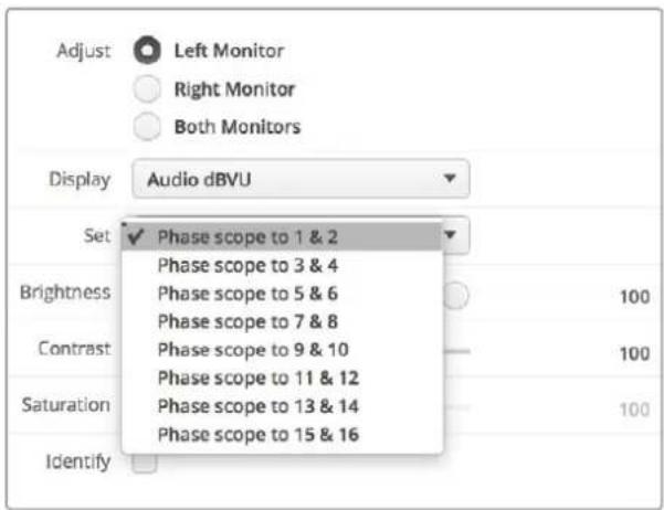 Blackmagic Design SmartView Duo - Affichages des niveaux audio - 2