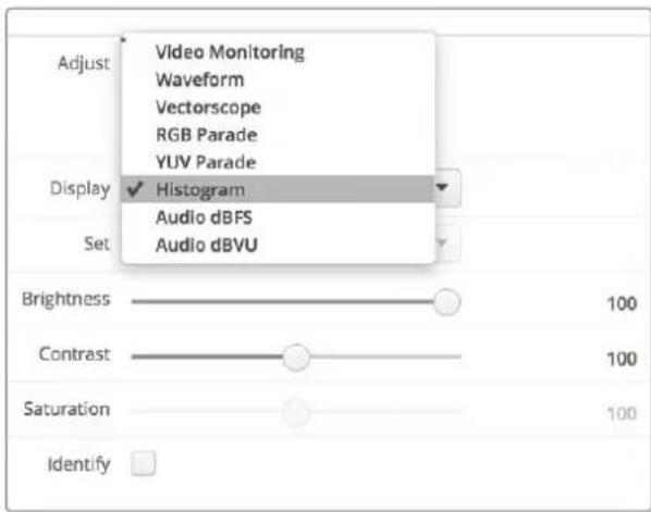 Adjust Video Monitoring Waveform Vectorscope RGB Parade YUV Parade Display ✓ Histogram Audio dBFS Audio dBVU Set Brightness 100 Contrast 100 Saturation 100 Identify □