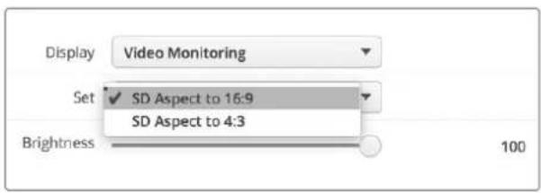 Display Video Monitoring Set ✓ SD Aspect to 16:9 SD Aspect to 4:3 Brightness 100