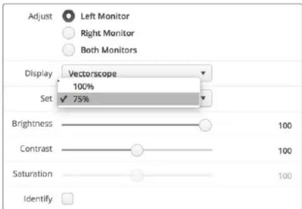 Blackmagic Design SmartView Duo - Display em Vetorscópio - 2