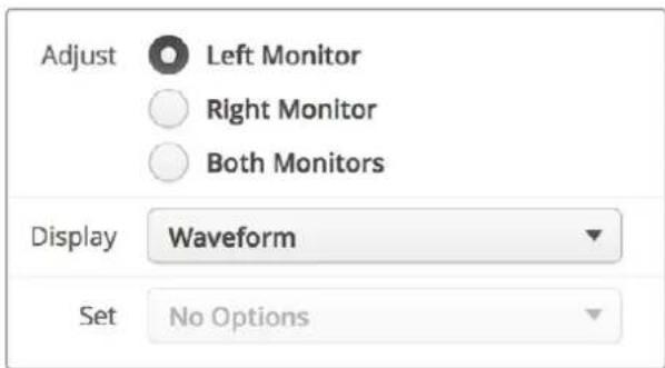 Adjust Left Monitor Right Monitor Both Monitors Display Waveform Set No Options