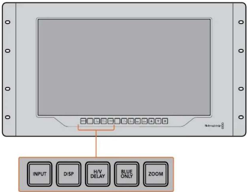 INPUT DISP H/V DELAY BLUE ONLY ZOOM