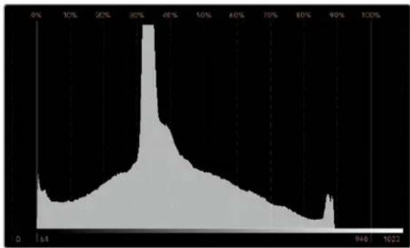 Blackmagic Design SmartView Duo - Histogram Ekranı - 1