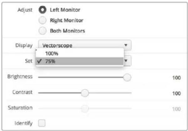 Blackmagic Design SmartView Duo - Vectorscopio - 2