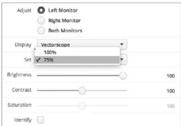 Adjust Left Monitor Right Monitor Both Monitors Display Vectorscope 100% Set ✓ 75% Brightness 100 Contrast 100 Saturation 100 Identify