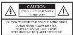 AUDIOENGINE D1 - Basic Safety Instructions - 1