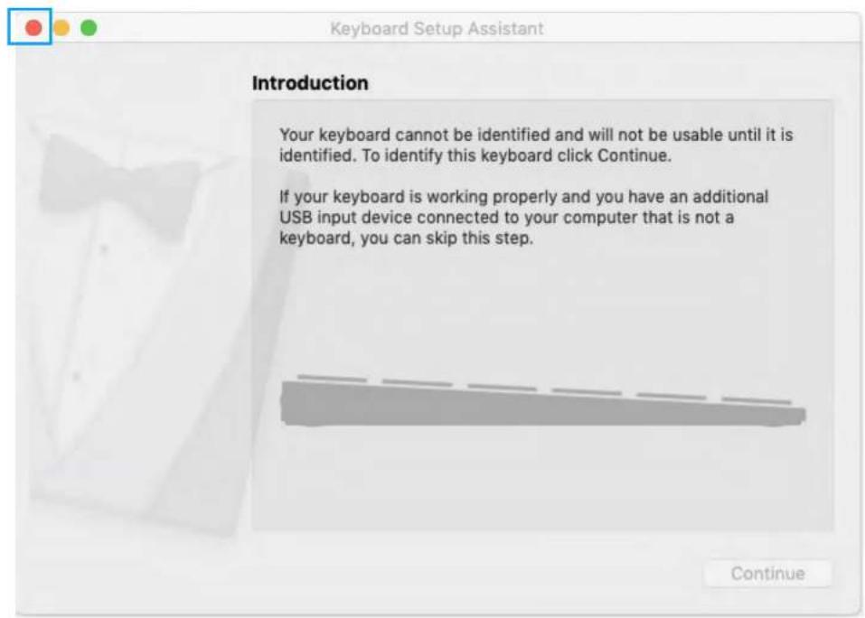 Keyboard Setup Assistant Introduction Your keyboard cannot be identified and will not be usable until it is identified. To identify this keyboard click Continue. If your keyboard is working properly and you have an additional USB input device connected to your computer that is not a keyboard, you can skip this step.