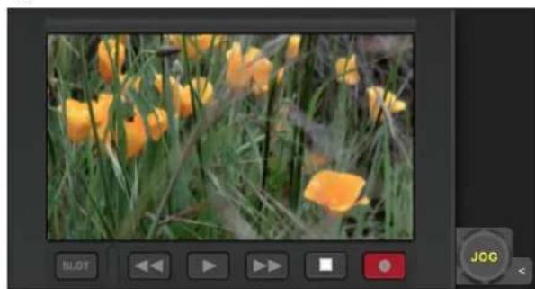 AJA Ki Pro Ultra 12G - Playing, Jogging and Selecting Clips - 1