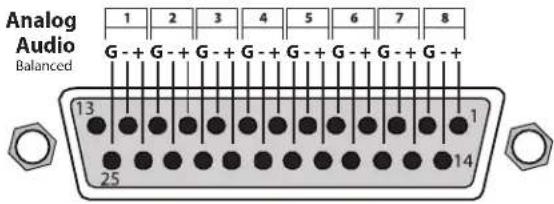 AJA Ki Pro Ultra 12G - Audio Input Analog - 1