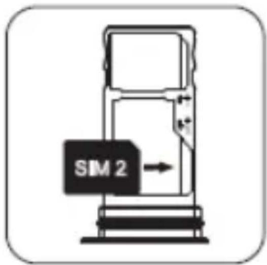 SIM 2