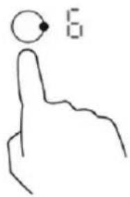 6