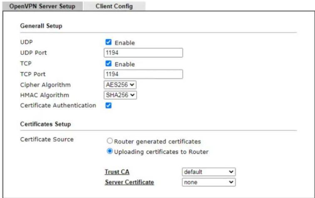 Draytek VigorLTE 200n - IV-1-8-1 Open VPN Server Setup - 1