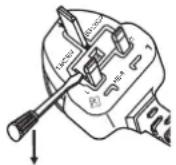 PANASONIC PT-DW750BE - IMPORTANT: THE MOLDED PLUG (U.K. only) - 1