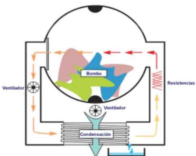 Infiniton SD-8NDP - How does a condenser dryer work? - 1