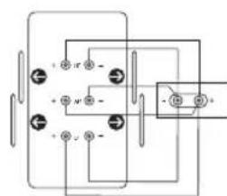 PMC twenty.24 - Back panel - 3