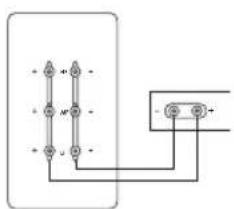 PMC twenty.23 - Back panel - 1