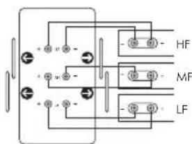 PMC twenty.23 - Back panel - 5