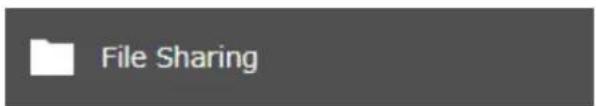 File Sharing