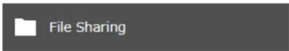 File Sharing