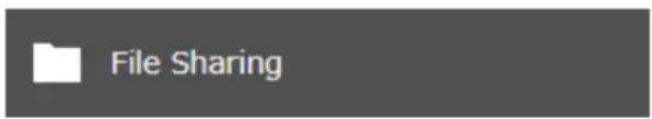 File Sharing