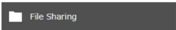 File Sharing