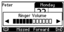 AUDIOCODES 405 - Adjusting Ring Volume - 2