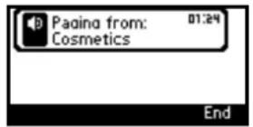 AUDIOCODES 405 - Receiving an Incoming Paging Call - 1