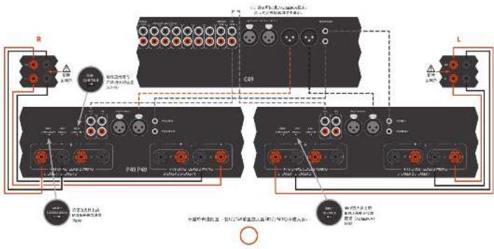 ARCAM P349 - 双重单声道-P49只 - 1