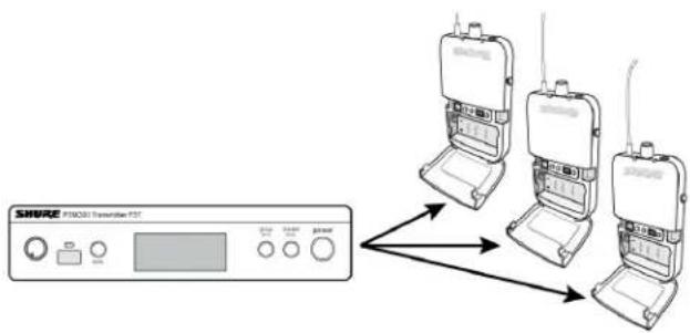 SHURE P3TE-K3E - Single Transmitter and Multiple Receivers - 1