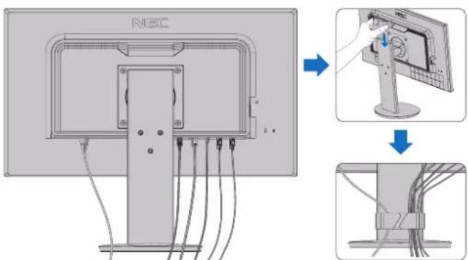 NEC MultiSync E243F - To connect the monitor to your system, follow these instructions: - 3