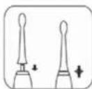 Concept Perfect Smile ZK4000 - Regimi di pulizia - 3