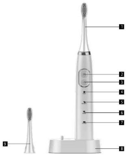 Concept Perfect Smile ZK4000 - DESCRIZIONE DEL PRODOTTO - 1