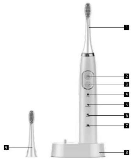 Concept Perfect Smile ZK4000 - PRODUKTBESCHREIBUNG - 1