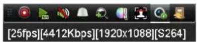 HiLook DVR-216G-K2 - Quick Setting Toolbar in Live View Mode - 16