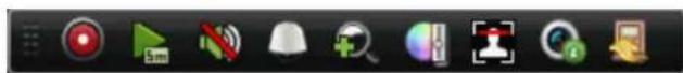HiLook DVR-216G-K2 - Quick Setting Toolbar in Live View Mode - 1