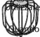 RGV PL10S - Accessorio frusta - 1