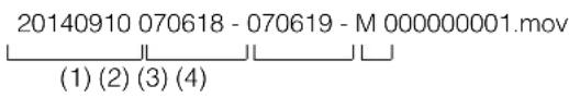 CANON VB-R11VE - File Name Format - 1