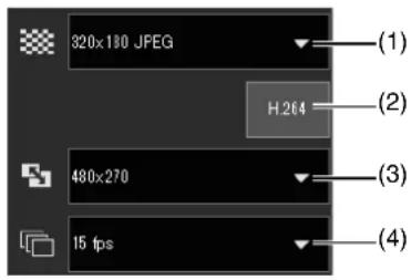 CANON VB-H761LVE - Changing the Reception Video Size/Format and Display Screen Size - 1