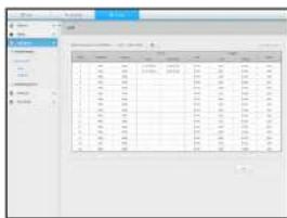 Screenshot of a data table application interface showing individual values and columns