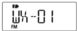 ICOM IC-T70A - ◇ Weather channel mode\* - 3