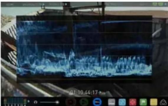 Atomos Shogun Studio - Luma Parade - 1