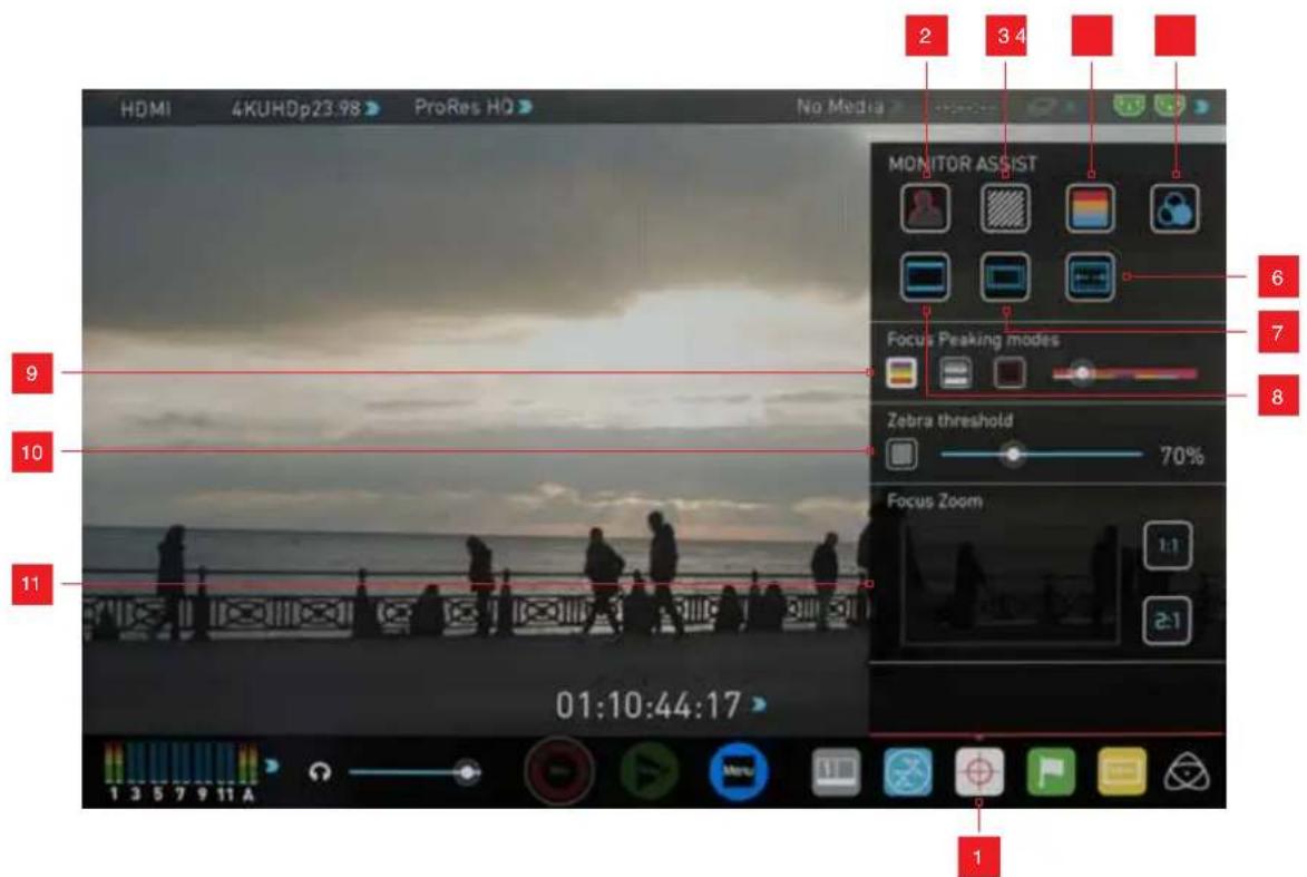 Atomos Shogun Studio - Monitor Assist - 1