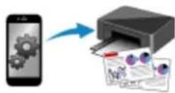 CANON PIXMA TS3320 - Copying - 3