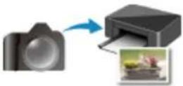 CANON PIXMA TS3320 - Printing - 3