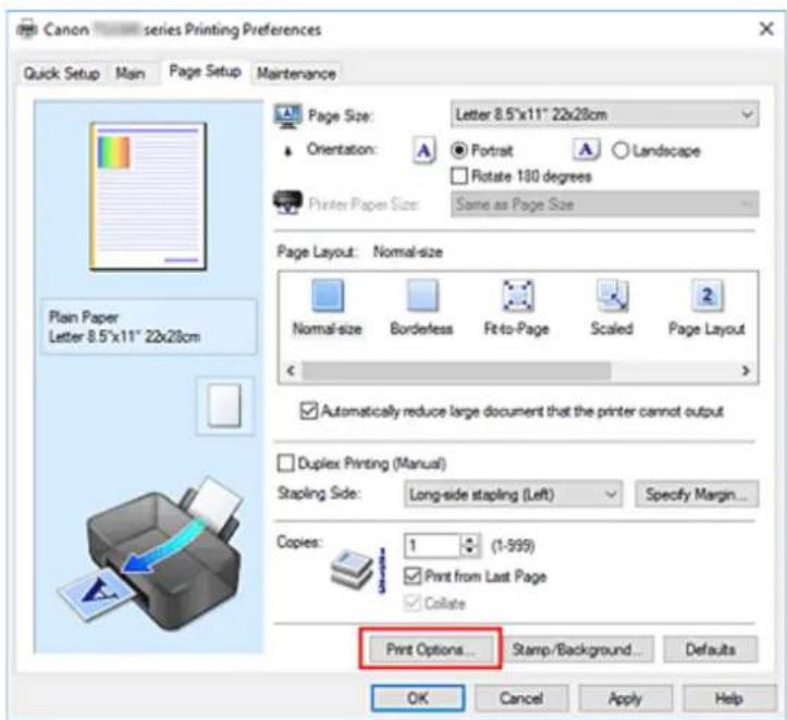 CANON PIXMA TS3320 - Changing the Print Options - 1